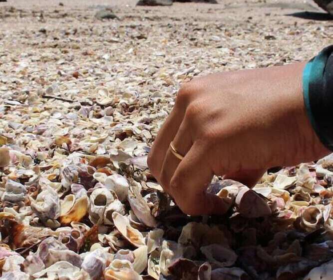 ホテル Pousada Todas As Luas