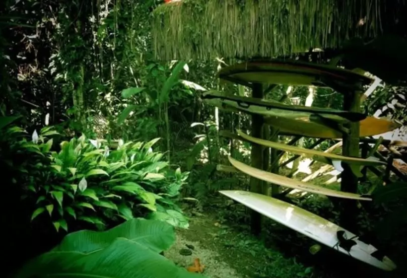 ホテル Pousada Todas As Luas