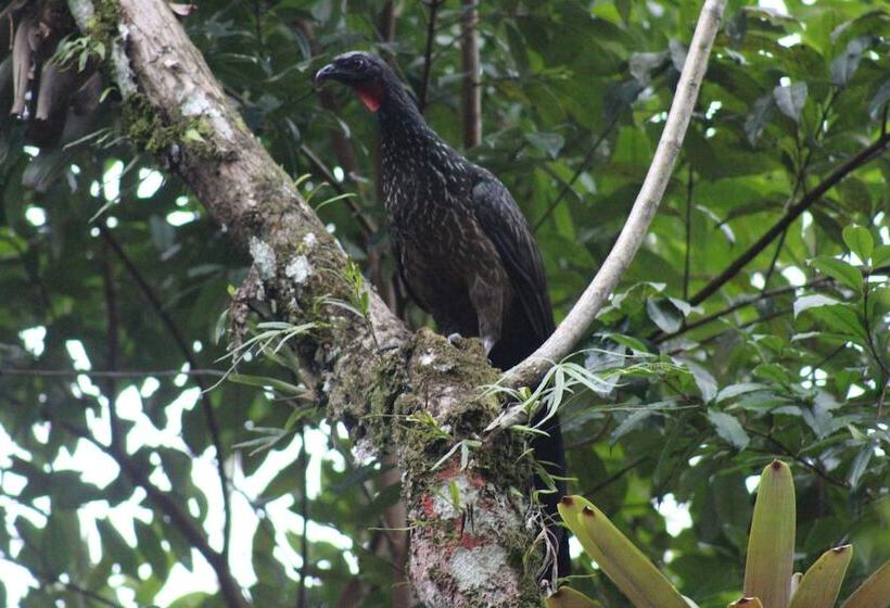 ホテル Pousada Todas As Luas