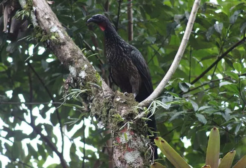 ホテル Pousada Todas As Luas