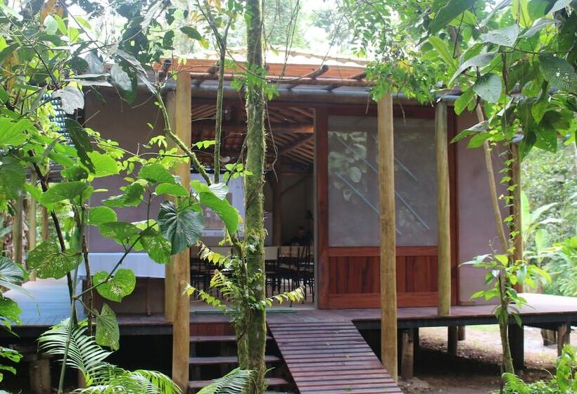 ホテル Pousada Todas As Luas