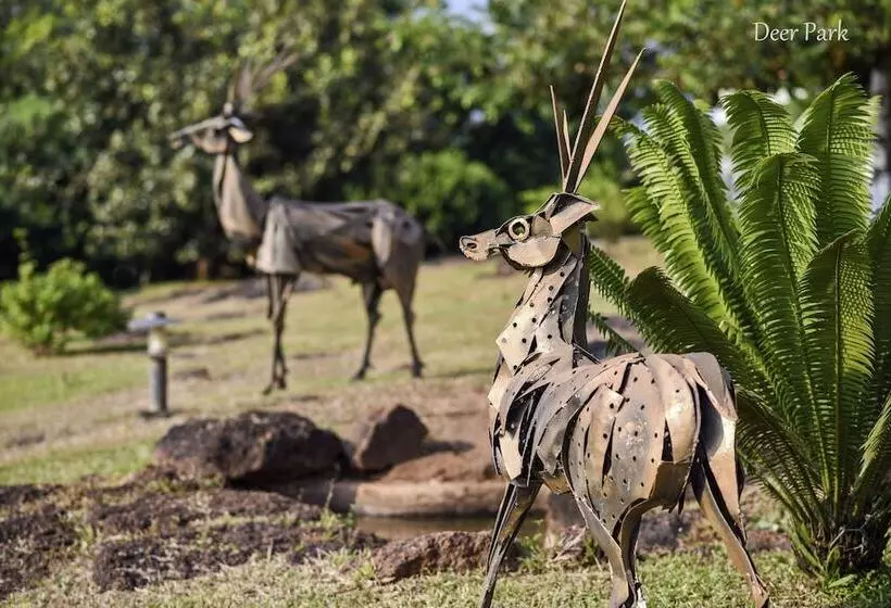 Отель The Fern Samali Resort