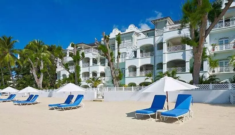 Old Trees 3   Condo Halcyon