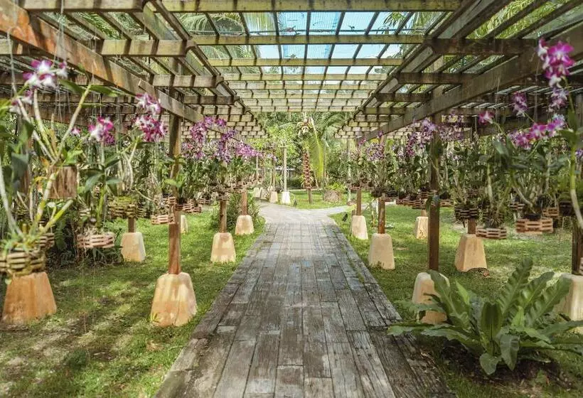 渡假胜地 High Season Pool Villa & Spa