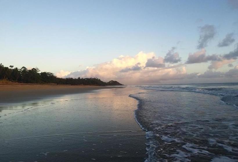 The Shores Holiday Apartments