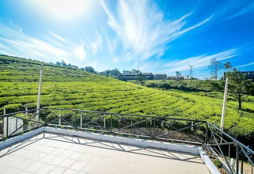 Villa Tea Fields