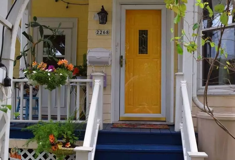 تختخواب و صبحانه The Muse Gallery Guesthouse