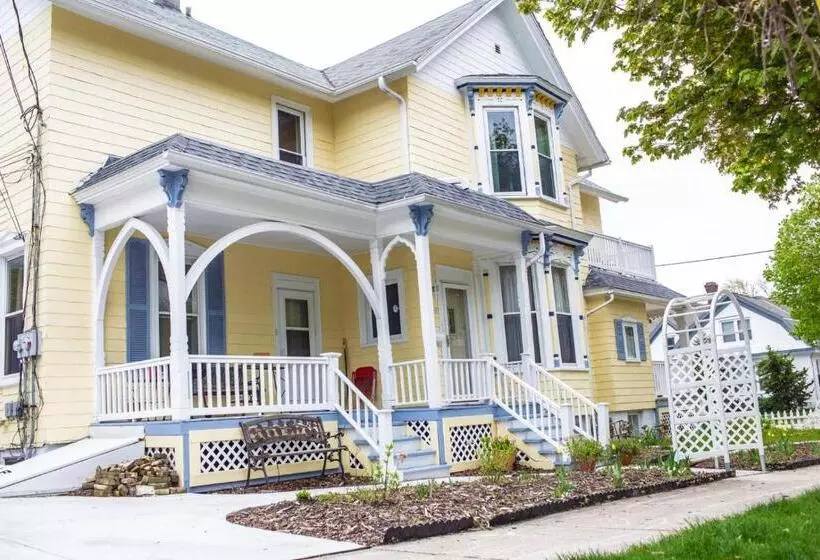 تختخواب و صبحانه The Muse Gallery Guesthouse