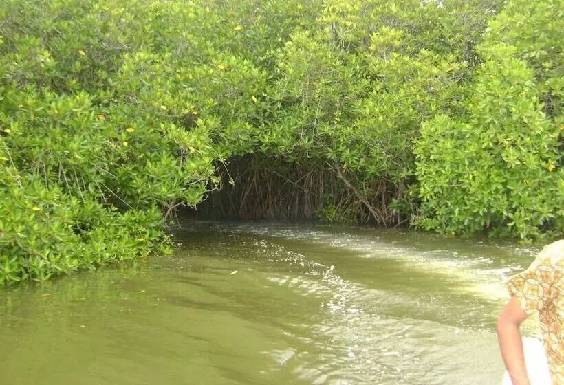 Отель Maduganga Villa Amazing Island Resort