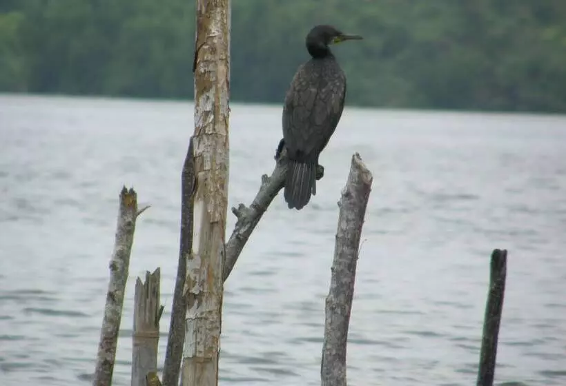 Отель Maduganga Villa Amazing Island Resort