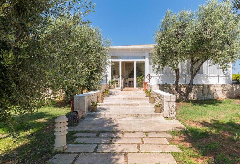 בית מלון כפרי Reverse