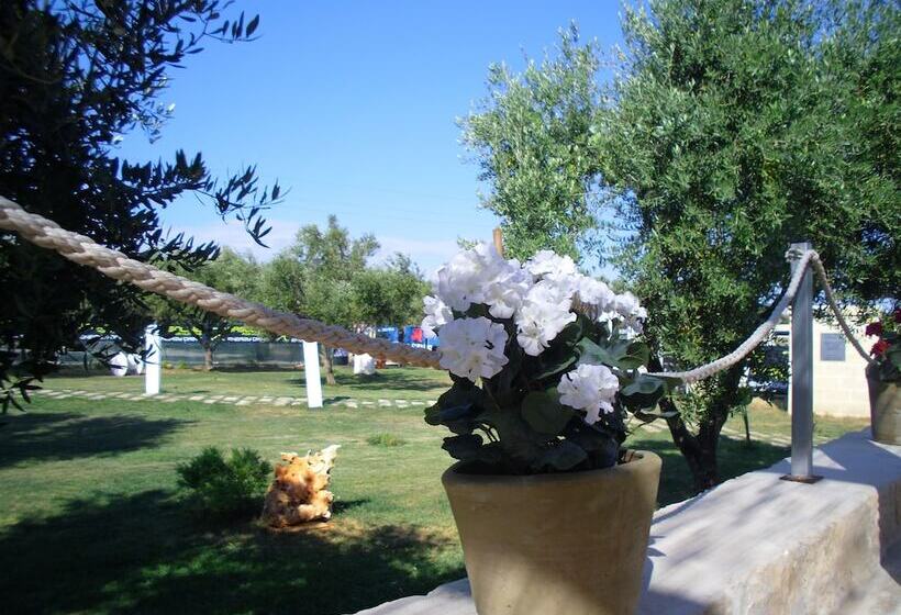 בית מלון כפרי Reverse