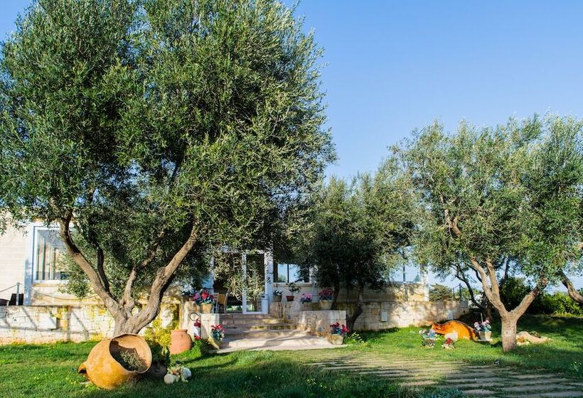 בית מלון כפרי Reverse