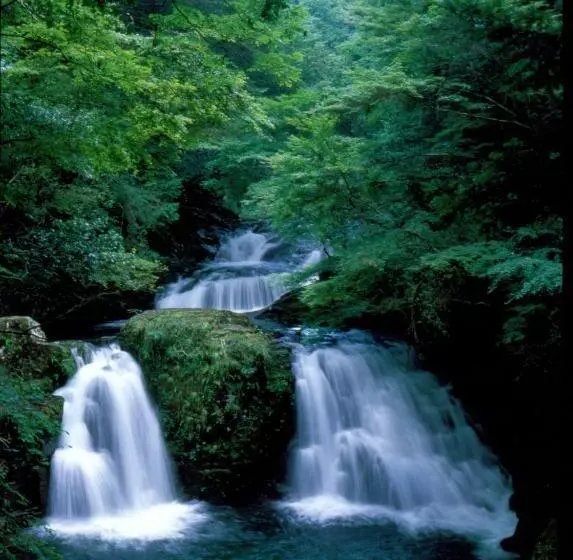 酒店 Shorenji Lake