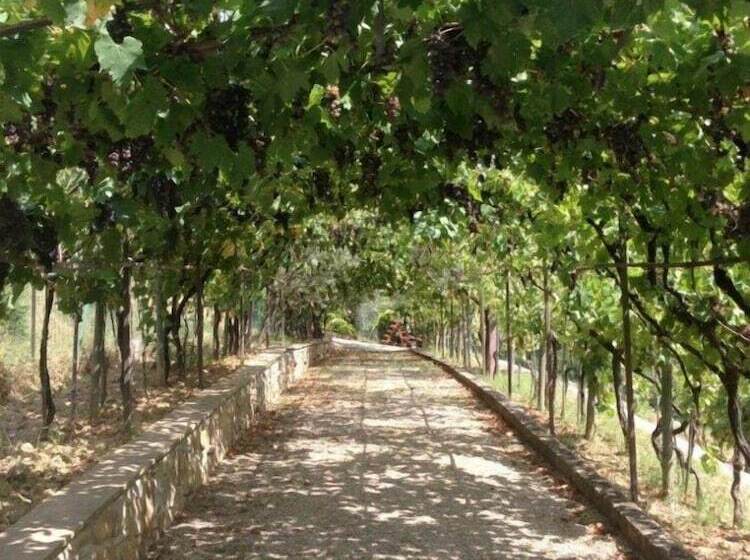 Poggiluglio By Posarellivillas