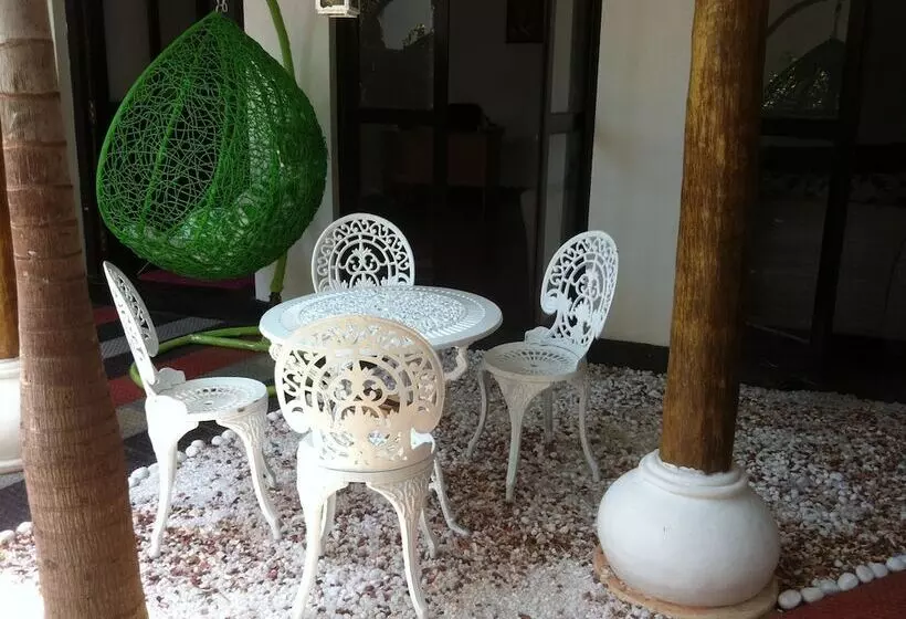 בית מלון כפרי Friends Guesthouse Negombo