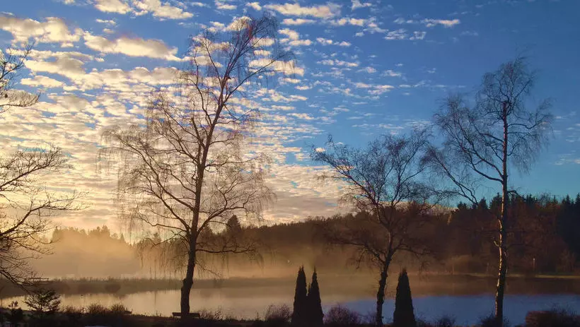 Otel Blackcoms Erika