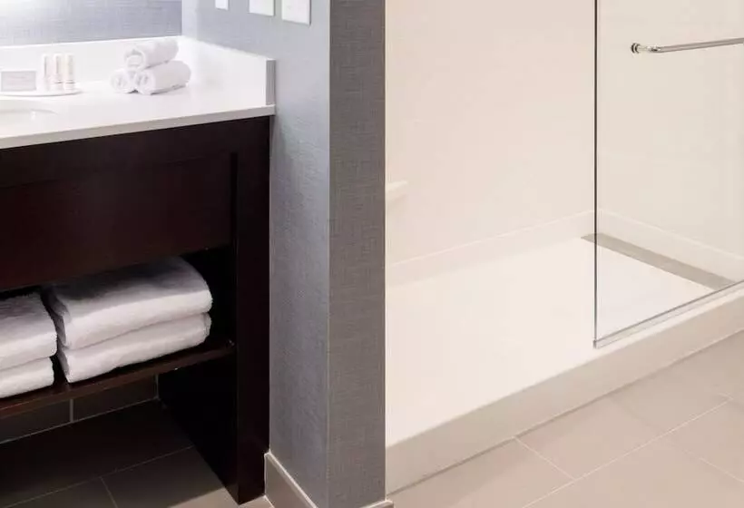 Hotel Residence Inn By Marriott Chicago Downtown/loop