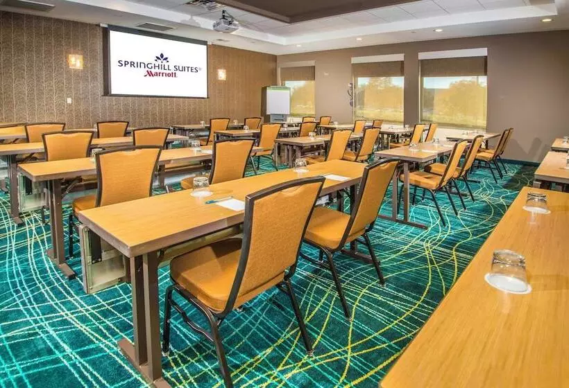 酒店 Springhill Suites By Marriott Houston Westchase