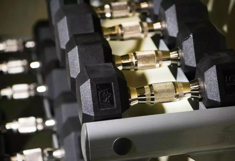 酒店 Springhill Suites By Marriott Houston Westchase