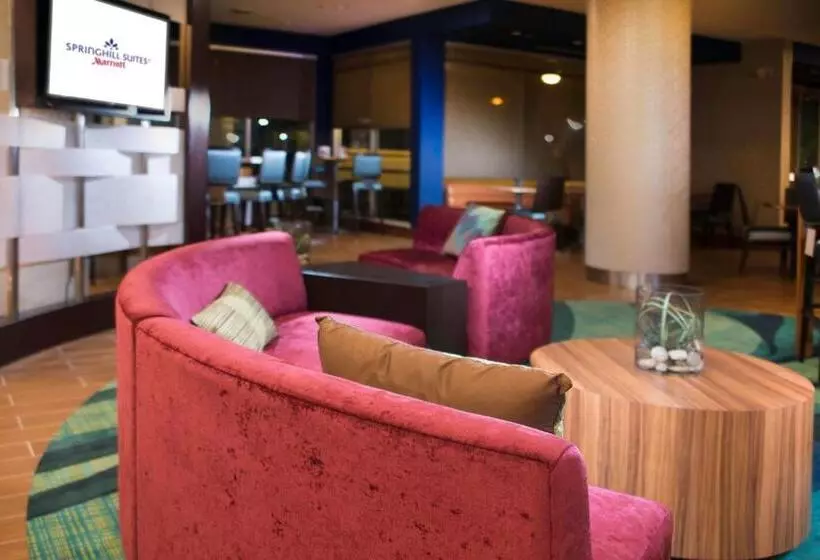 酒店 Springhill Suites By Marriott Houston Westchase