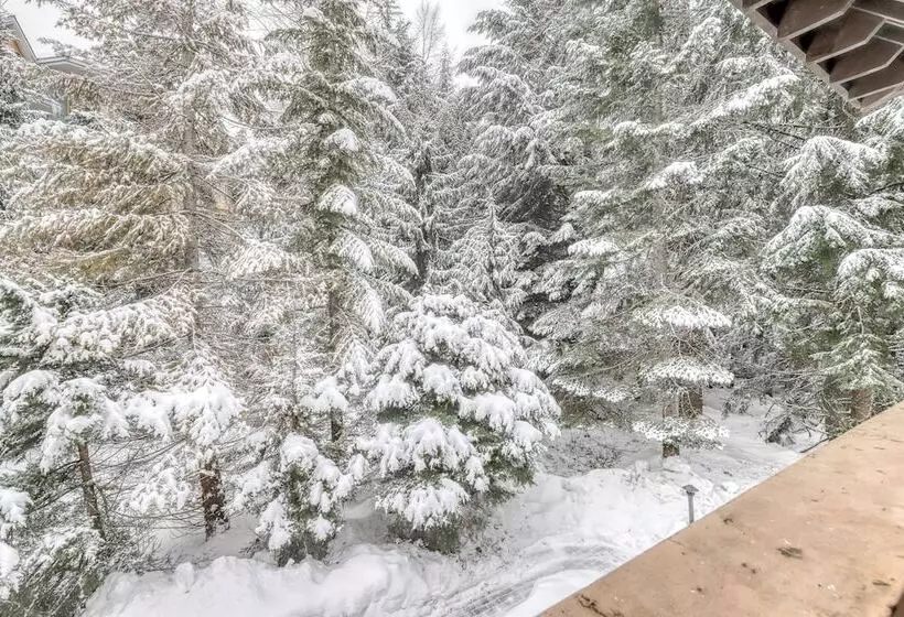 ホテル Sunpath Condos By Whistler Retreats