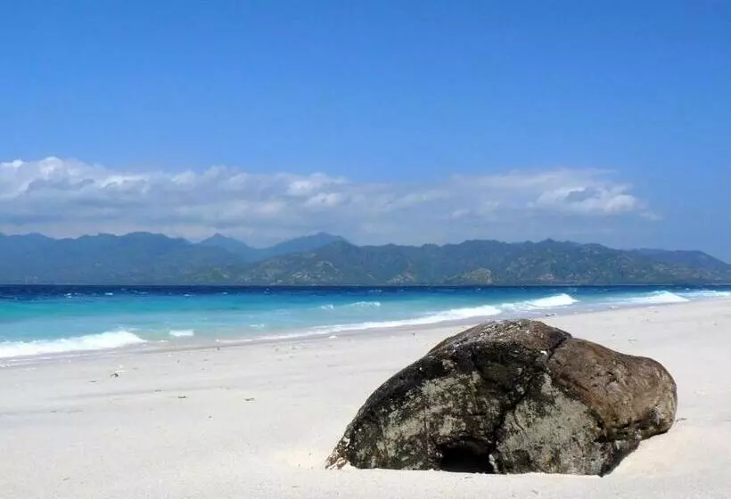 酒店 Tamoa Boutique