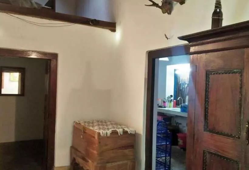 Jungle House
