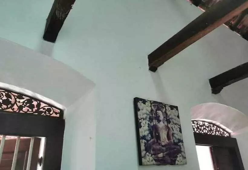 Jungle House