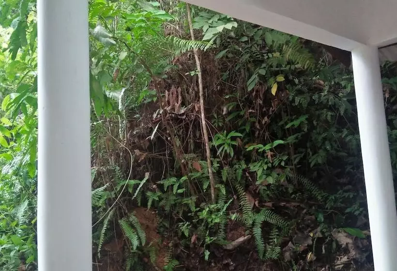 Jungle House