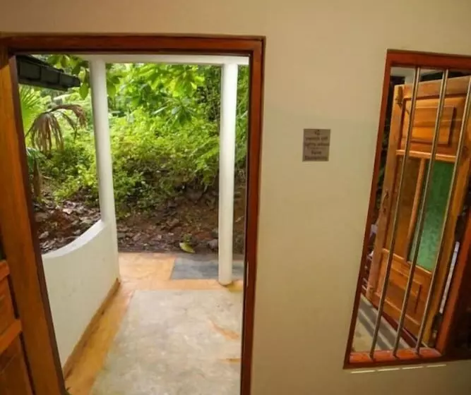 Jungle House