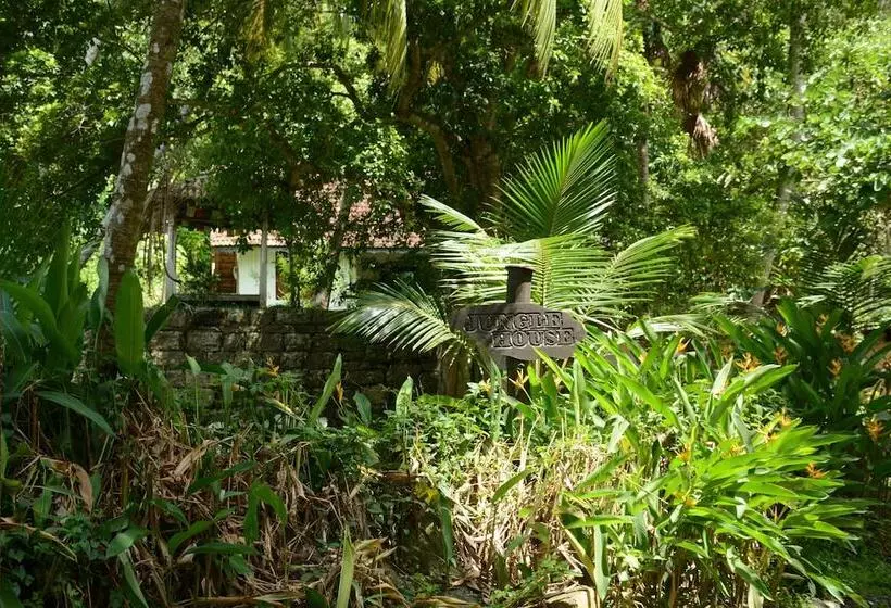 Jungle House