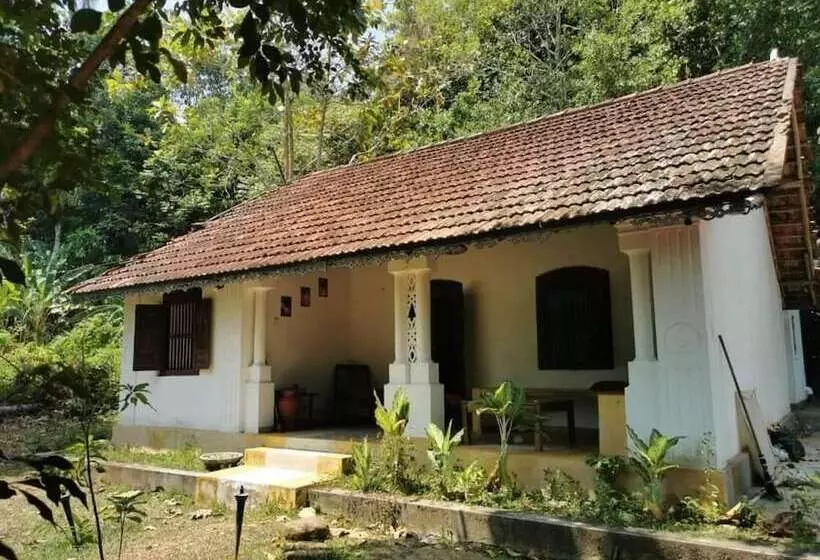 Jungle House