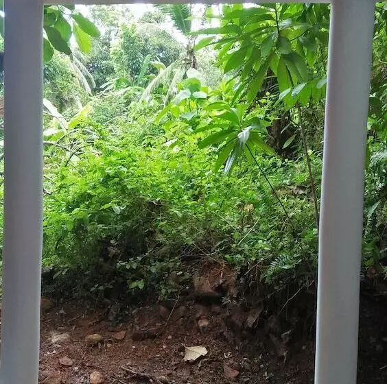 Jungle House
