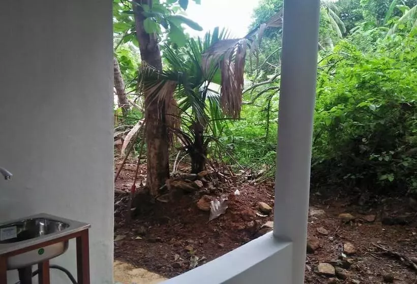 Jungle House
