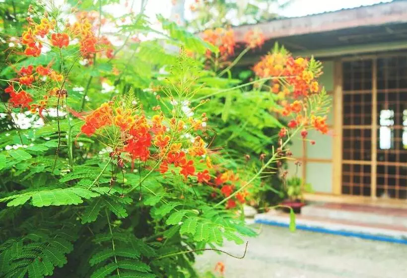Kota Beach Resort