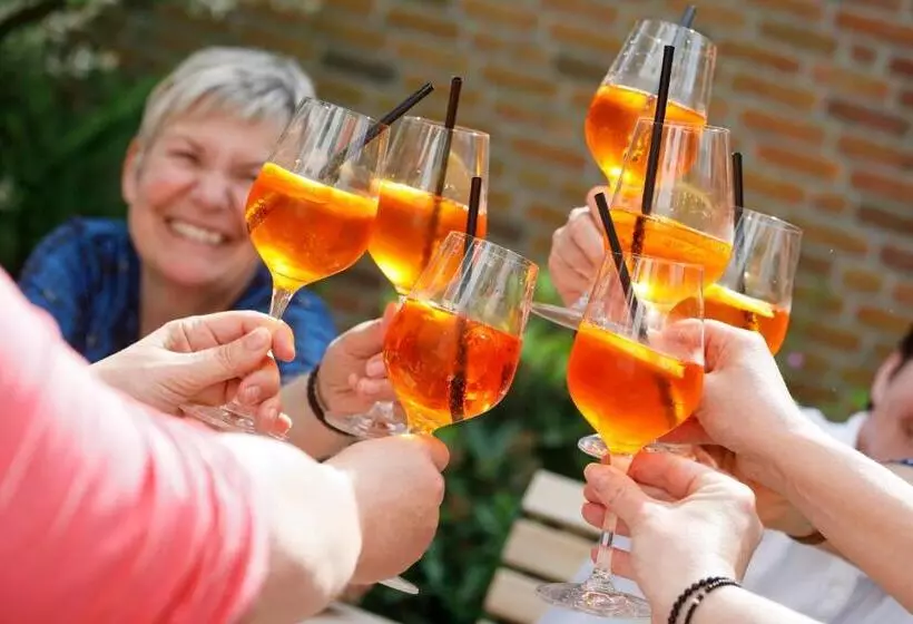 بنسيون Logierhaus Rheintoreins