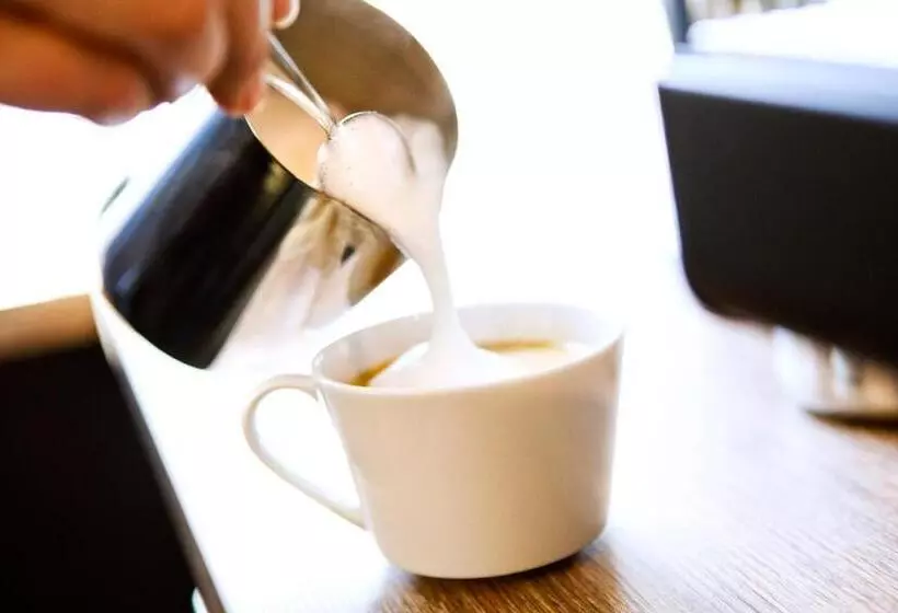 بنسيون Logierhaus Rheintoreins