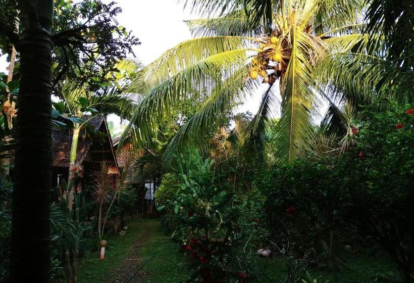 פנסיון Reggae Guesthouse