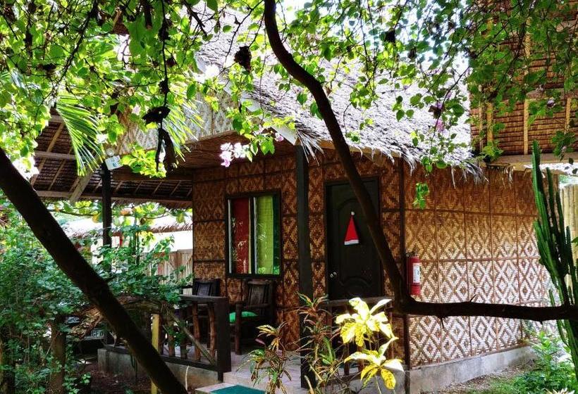 פנסיון Reggae Guesthouse