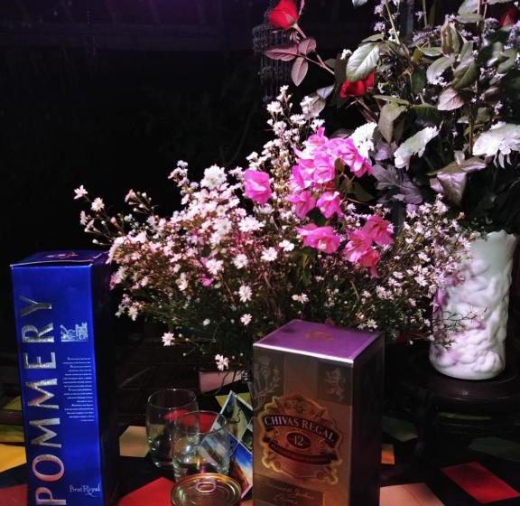 פנסיון Reggae Guesthouse