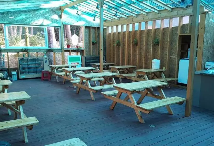 Seorak Dongchun Youthtel Hostel