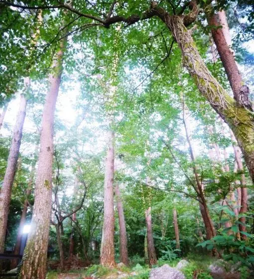 Seorak Dongchun Youthtel Hostel