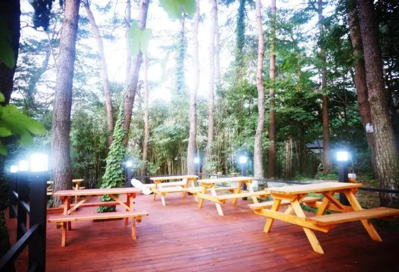 Seorak Dongchun Youthtel Hostel