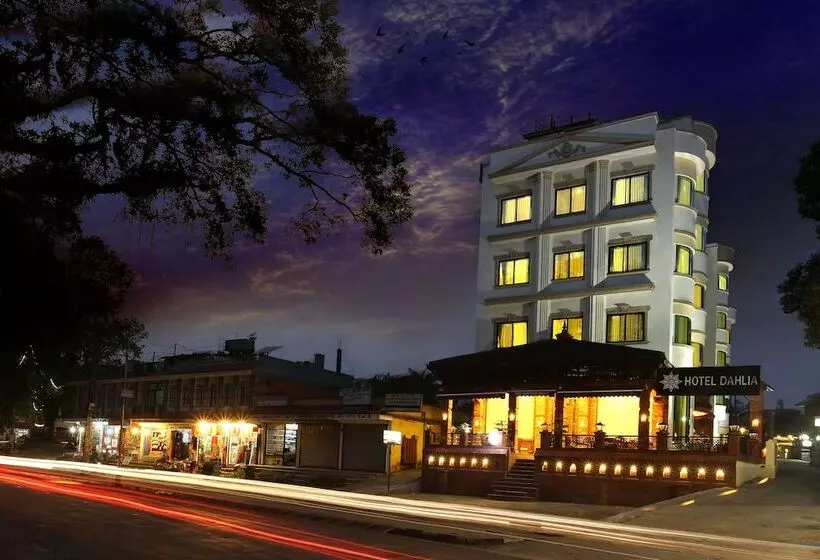 هتل Dahlia Boutique