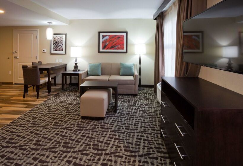 호텔 Homewood Suites By Hilton Davenport