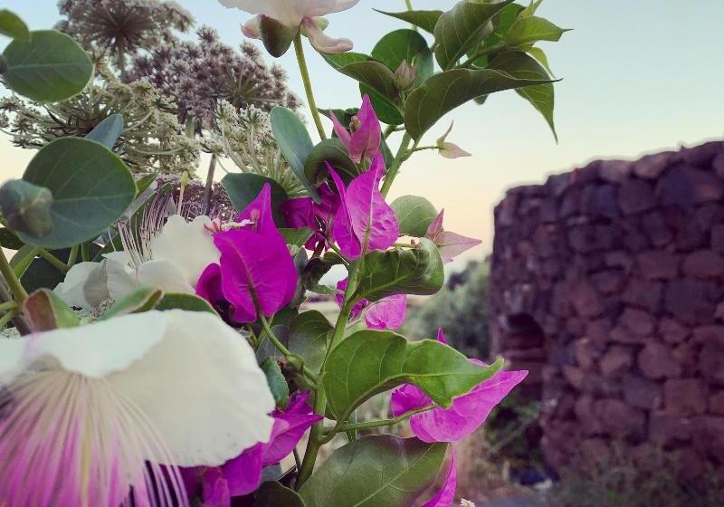 فندق Pantelleria Dream Resort