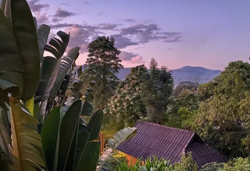 هتل Pura Vida Pai Resort