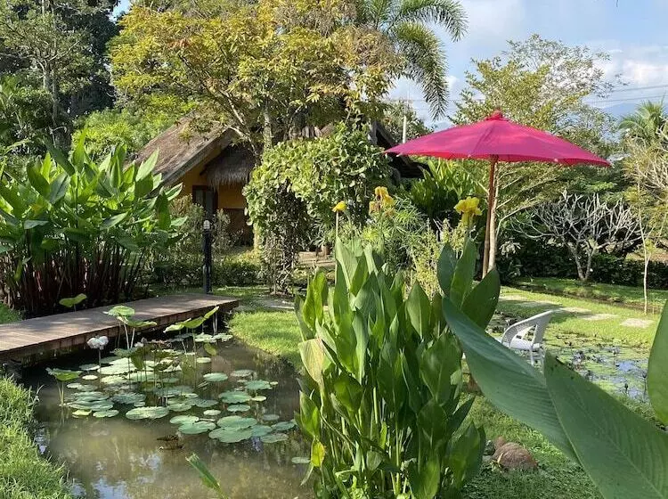هتل Pura Vida Pai Resort