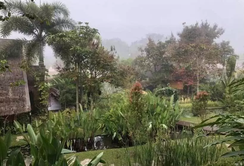 هتل Pura Vida Pai Resort